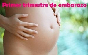 primer trimestre de embarazo