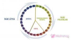fertilidad